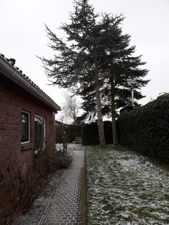 Zomerhuis De Zeedistel Egmond aan den Hoef Zewnętrze zdjęcie